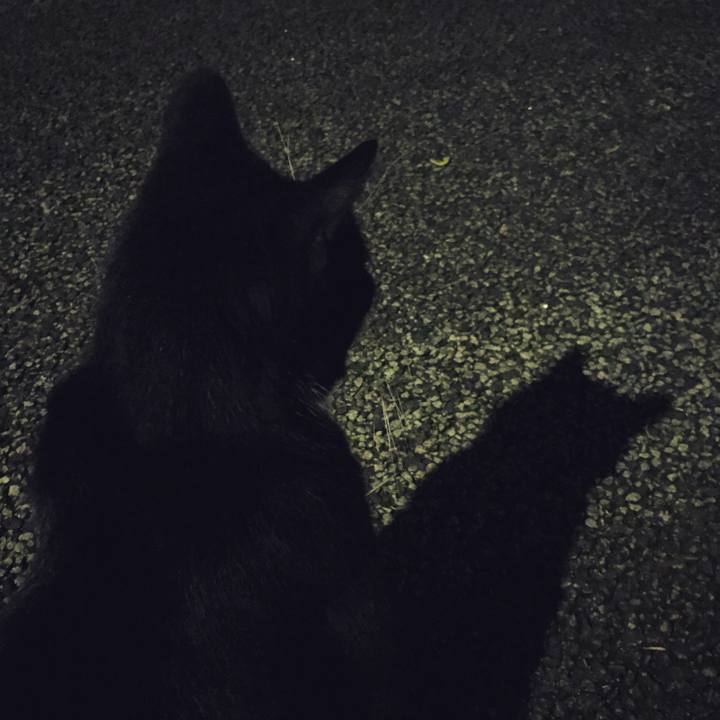 C2488bdd 692d 4eaa b776 395e7e99a4a2