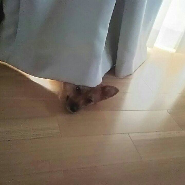 C248b807 fca4 4922 9baf 60bee1ecee8c