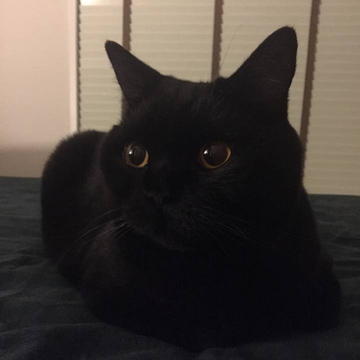 C2493235 262d 4801 bfe8 822d106656ac