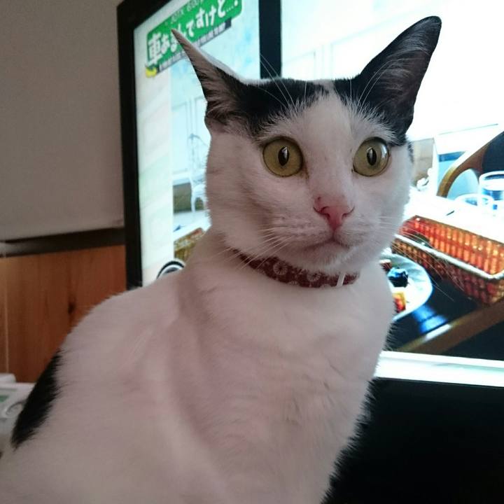 C2495e0e b7e6 4309 a411 2aaf53683cb5