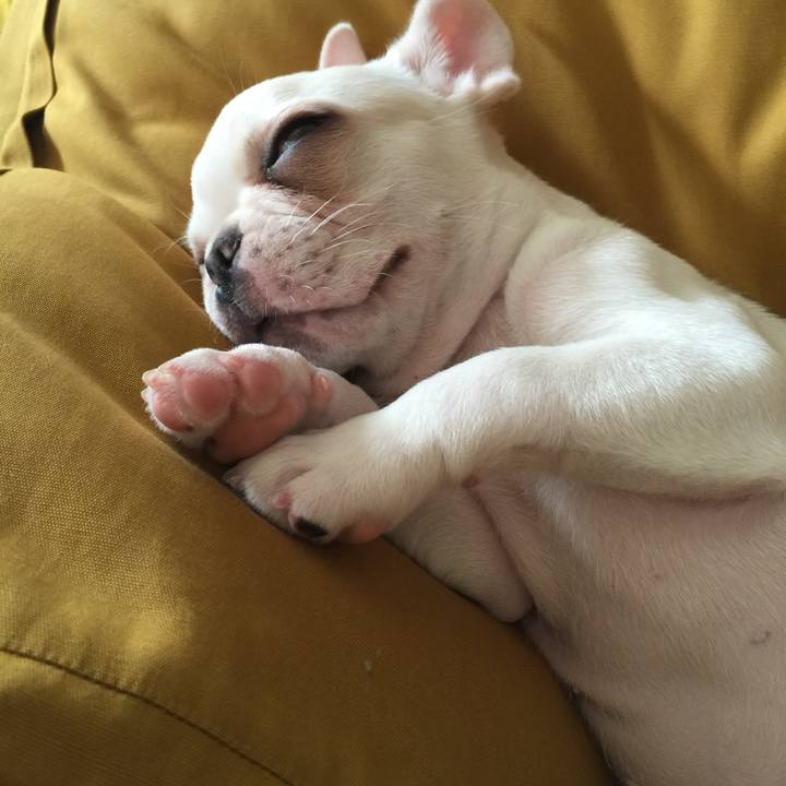 C2499cbe 0093 4d70 ba31 b21d21416f3d