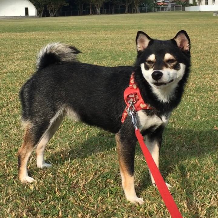 C24a9475 c165 4502 9bf6 3a2817462767