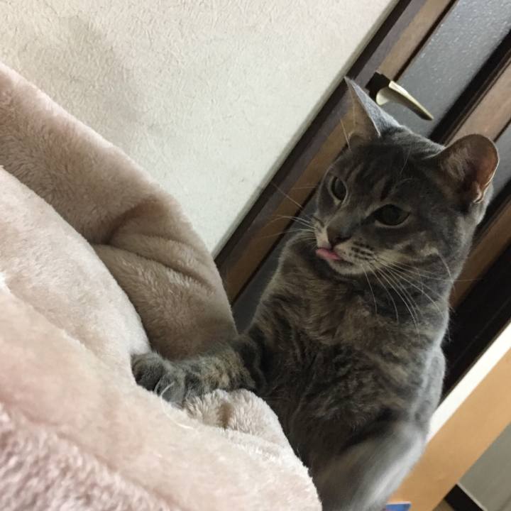 C24aab9a aaf0 42be bca9 38fa33b34735