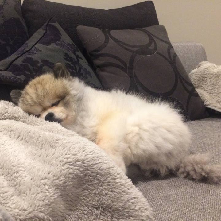 C24b46a4 fe3d 40c6 b780 fc0c2b25ded4