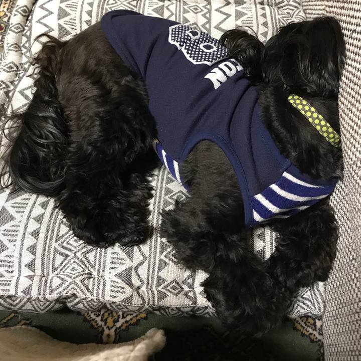 C24bc469 1e79 4984 86d5 728175dd1f65