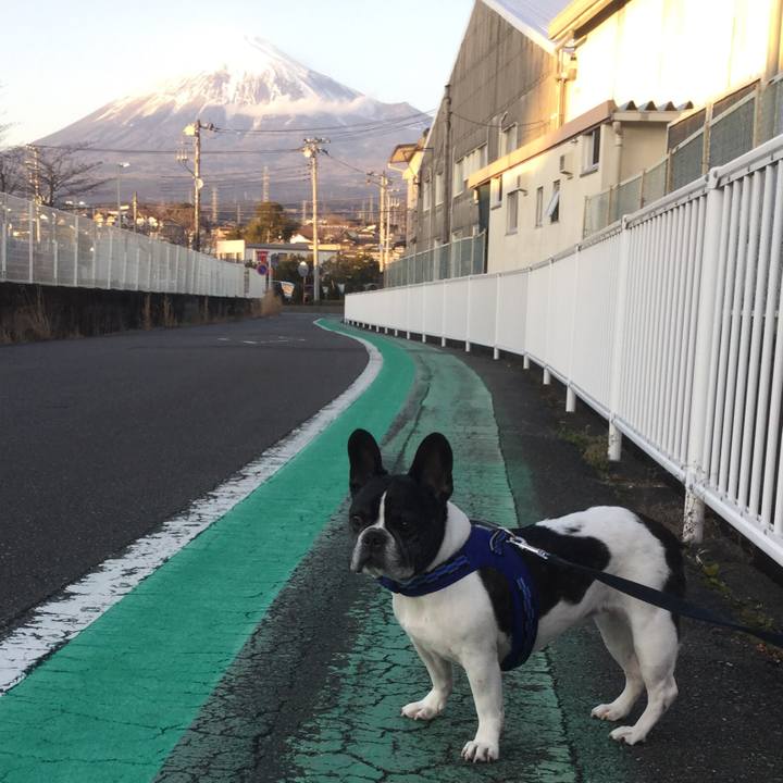 C24bfa1e ae41 441b 82c8 165e1cdd3fec