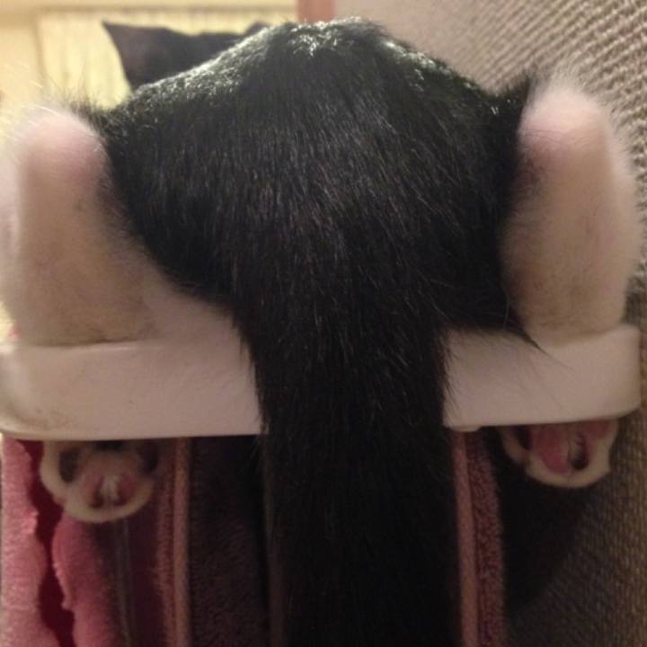 C24c0bf8 08cb 4383 80c0 3295abdfaef0