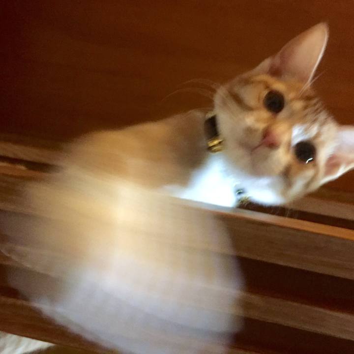 C24ca20b af80 45c5 a612 9cf18509a3b7