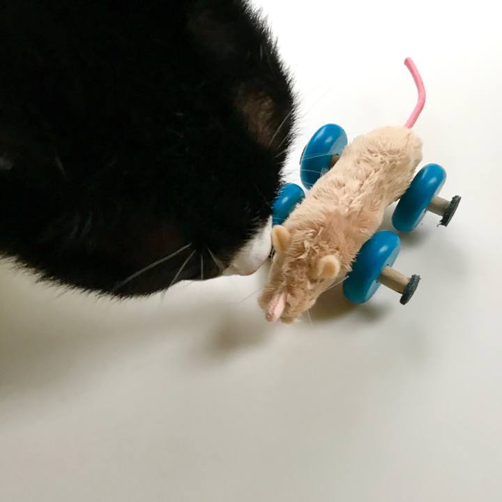 C24ccfdc cd44 46fc aa74 09a0c91eba1a