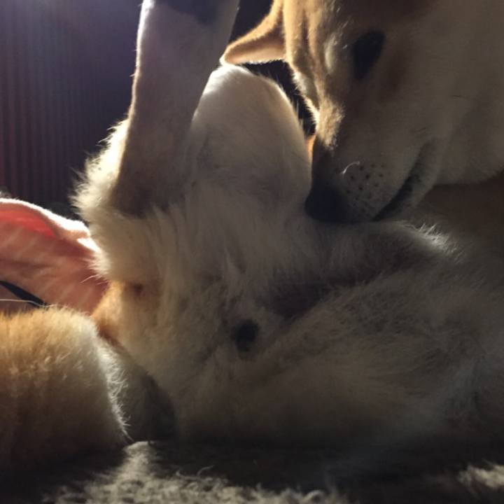 C24cd9fd 71ad 45aa 846b 7f7eec3b085c