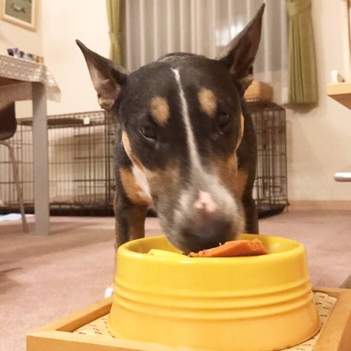 C24d1596 3f84 4906 bf2d ea3fc720b8ea