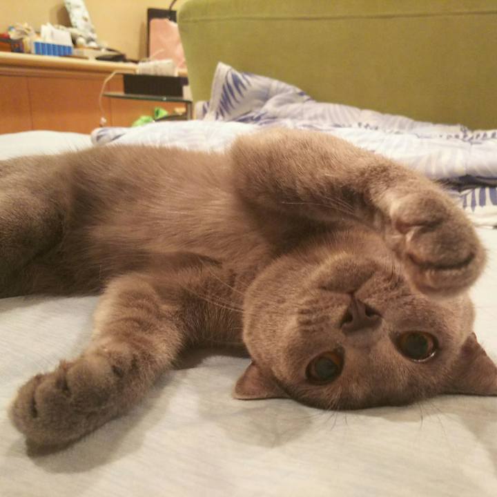 C24e6e09 64d1 46d5 a92b 8c0bd3650e7f