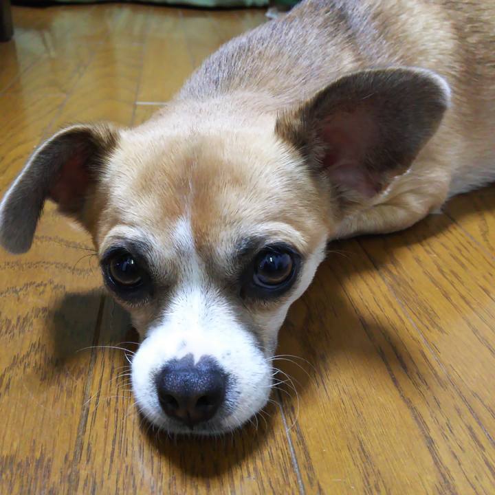 C24eb208 e01b 4e5d 841b 4c5c598267d0