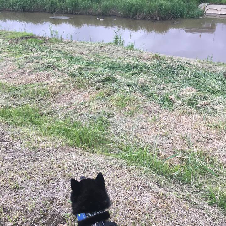 C24eb59c 2c73 4100 9f8a 04c2508ce183