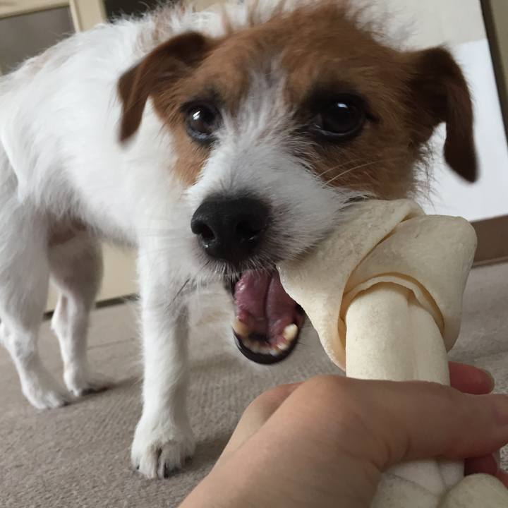 C25014b0 ec6e 4ecb 8123 b6fee16be7ec