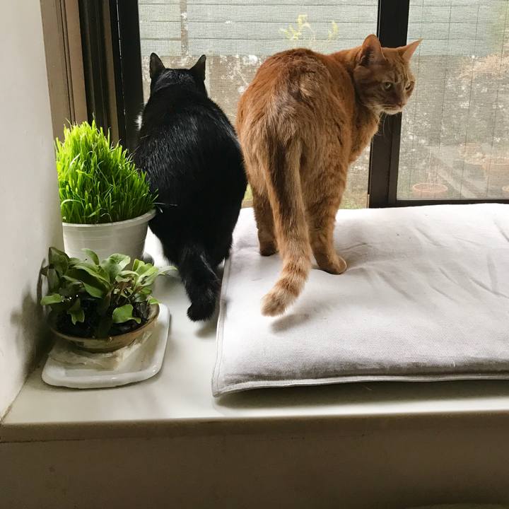 C250e67e 01e8 47ec 8c35 39633c59178a