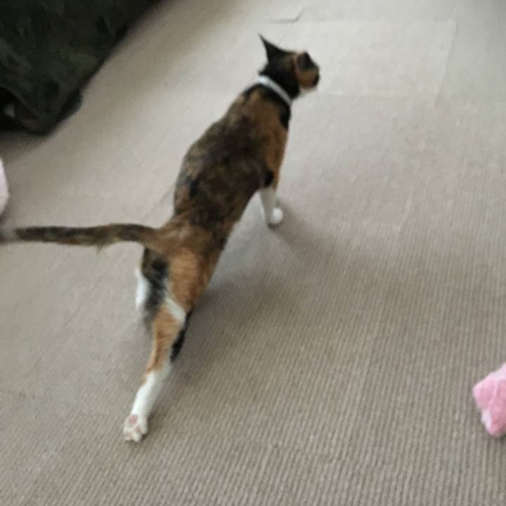 C251d284 b90c 4183 ae01 e718f56c98ab