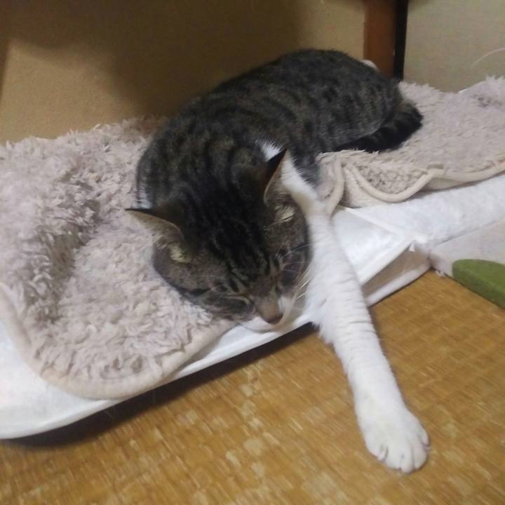 C251d5d8 c0c7 44ab 8250 905fab1c3733