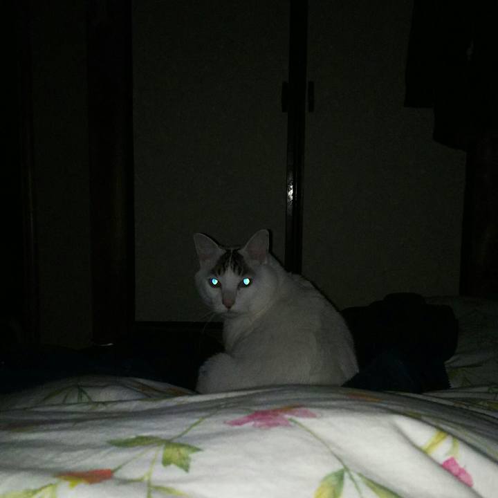 C25224d3 fd02 42e4 96f4 26f59633fc21