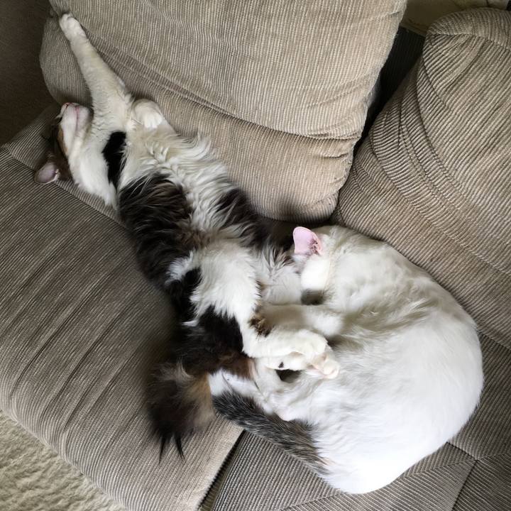 C2524bc1 e913 4d6c 8474 dcbaa3e7f99b