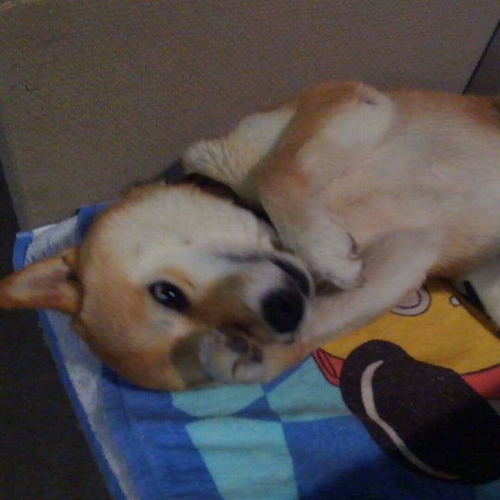 C252d977 084d 4fee ba0b 3ab4881d7667