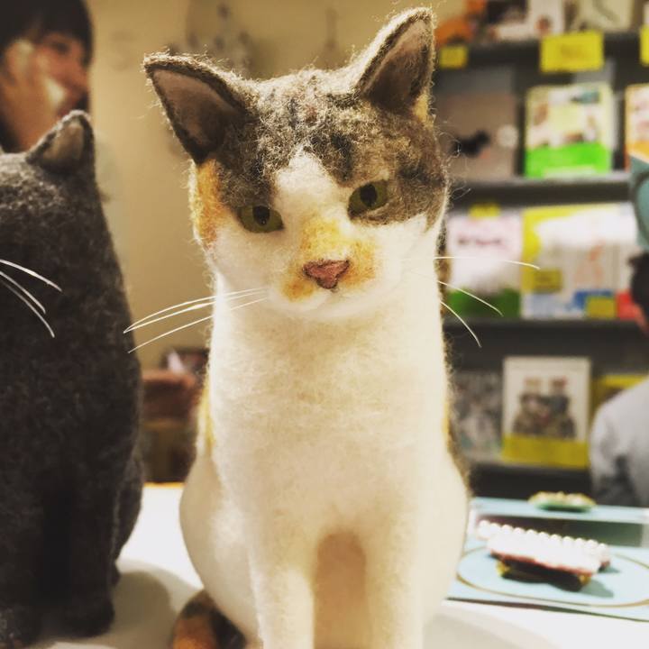 C2534378 2670 42bf bcf2 673bf05ac011