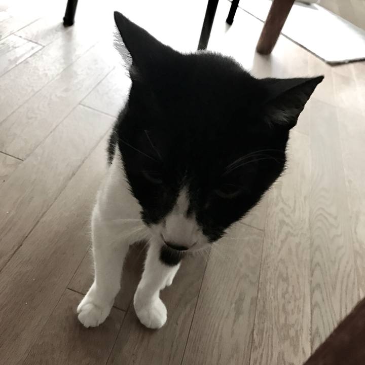 C253ca31 2b31 41b1 8108 a68e3956ae4f