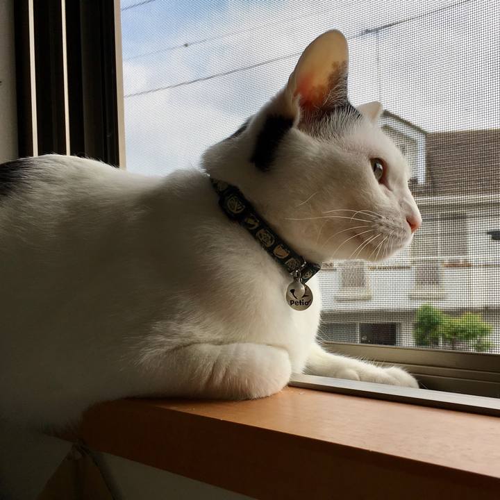 C253d2bd f6af 444d be3c d4097924932e