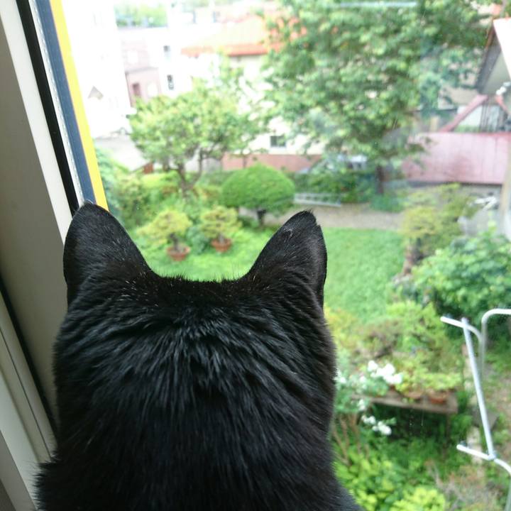 C253f630 0daf 4202 bea8 3a83475883ea