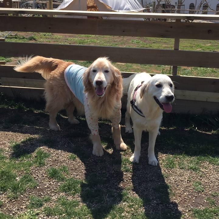 C2545899 669c 4b5c 85ef 343248e98073