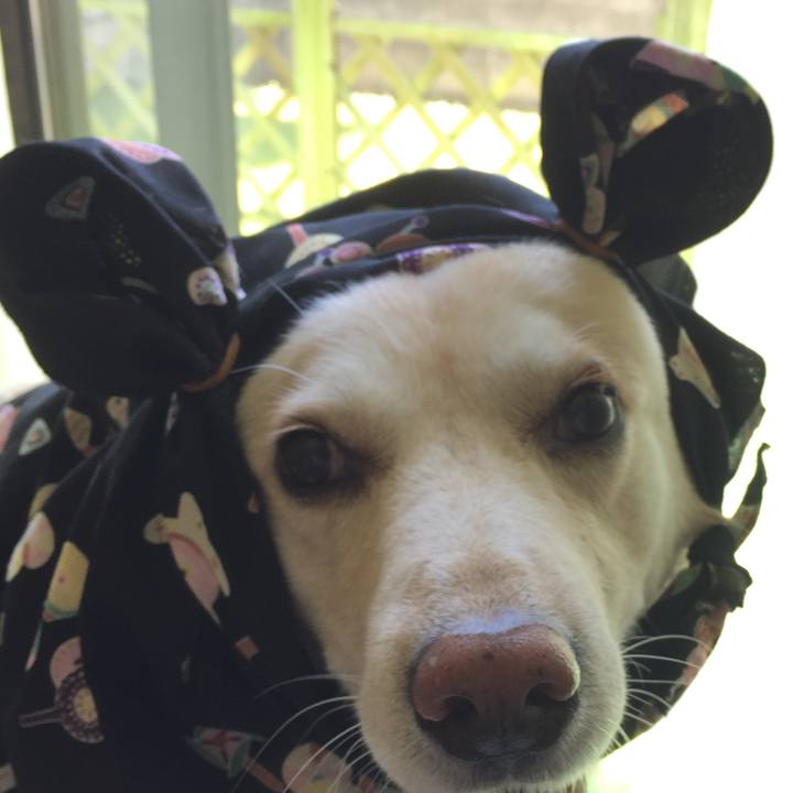 C2556f4a 9a2f 4a53 875f 692f6b586513