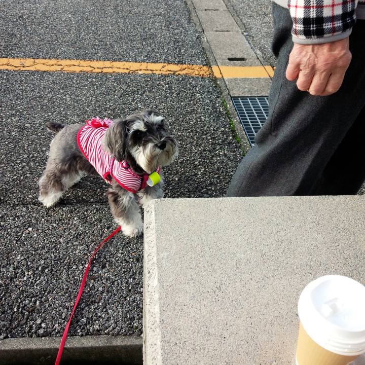 C256bd33 6d0e 497c 87f8 5848bc8003db