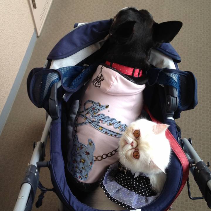 C257f1ef ed9b 4415 9337 910083860a1a