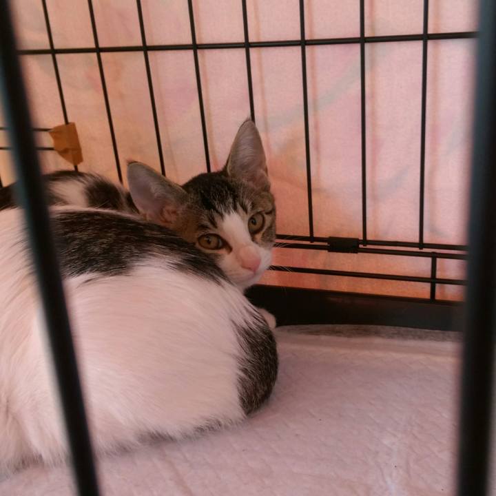 C2584f48 3f73 4397 ae2c b30a1f681eed