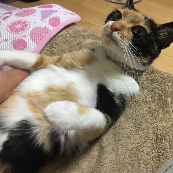 C2589856 f0ae 4256 b9ae 01db2d23ca07