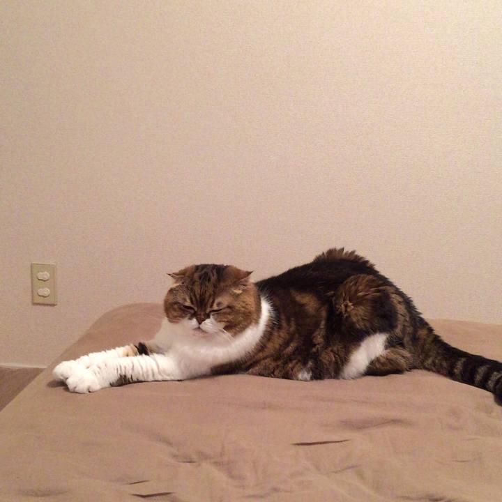 C2594226 defc 4980 8445 4edd41c15a43