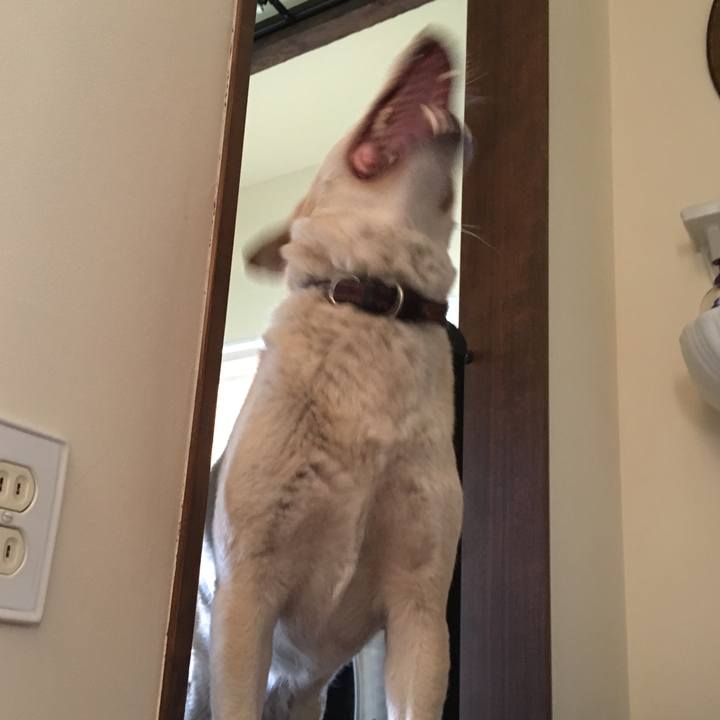 C25a8788 81af 404d 8727 b1ba91ec185e