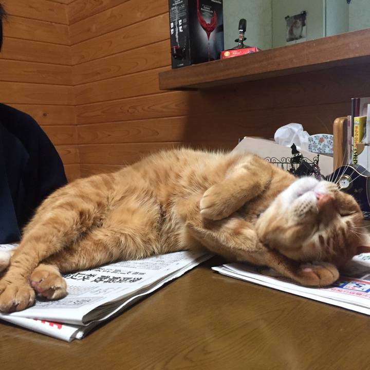 C25ab1a3 6b63 4795 9a8d 9246ca50c428