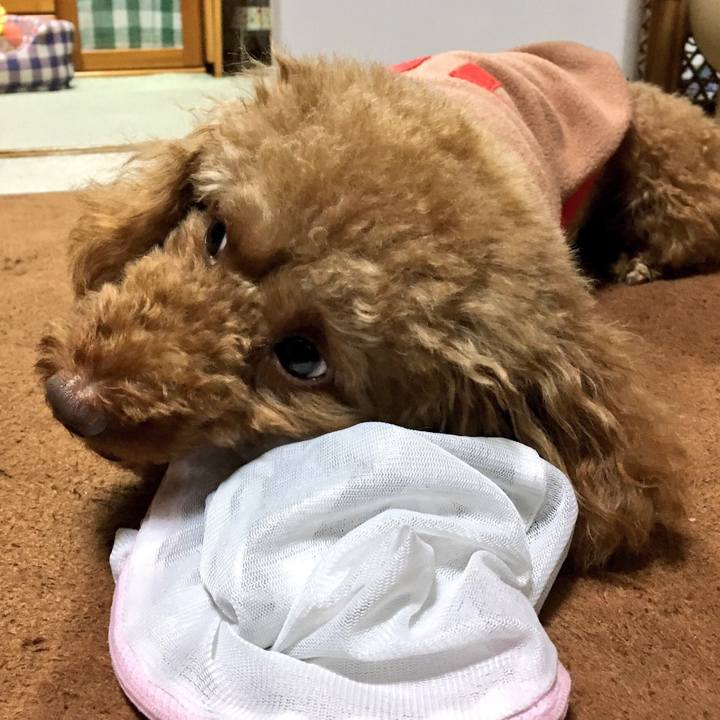 C25ac08e 06e8 43da 9252 5f497aa2c946