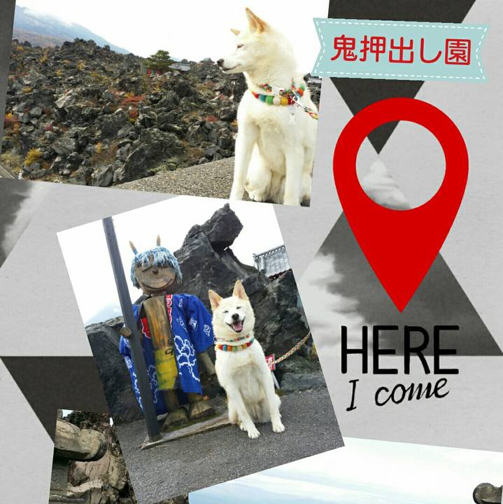 C25b47de 0d22 4751 83b0 2ccd24f90ade