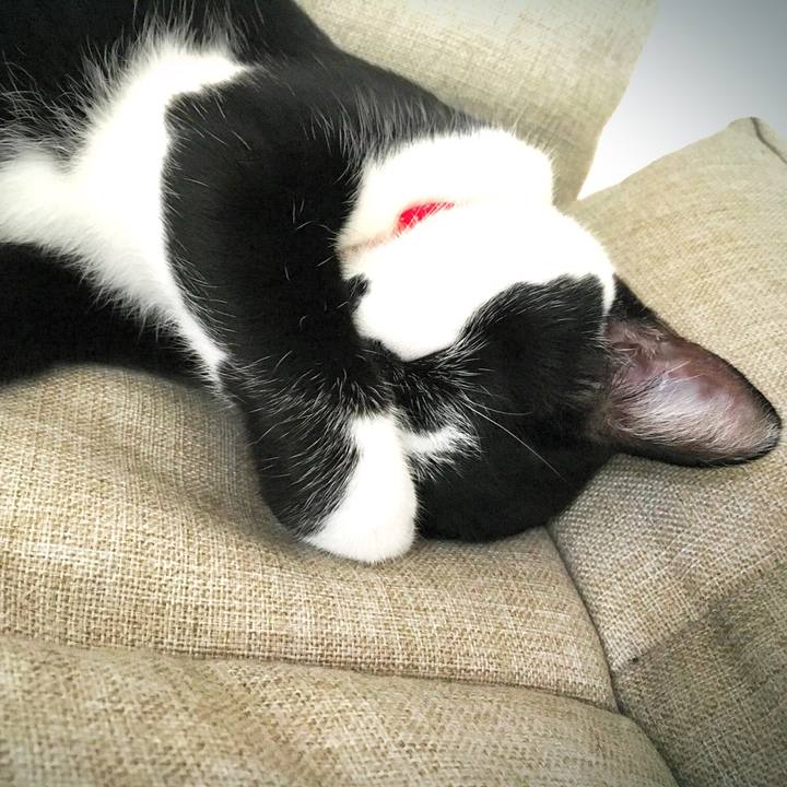 C25baeba 1392 4bd8 8705 02b08e46bec0