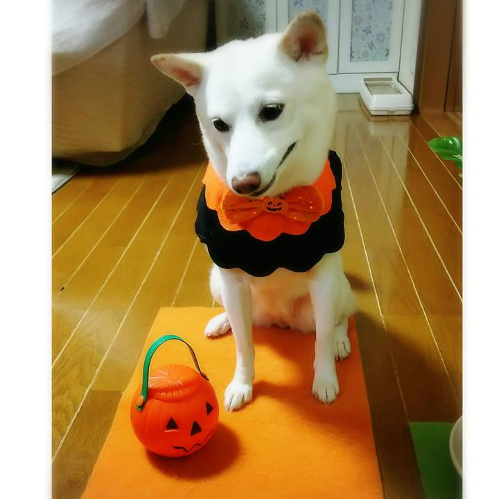 C25bdfec d39a 4d98 b708 2d4593ca084f