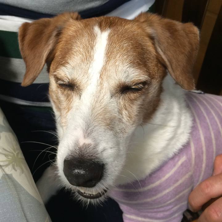 C25c4adf e581 45da bde7 d95b9da1d869