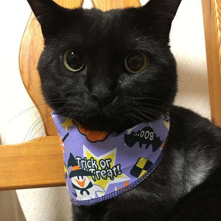 C25c6935 c366 46d5 95b9 9a1ed36c9f53