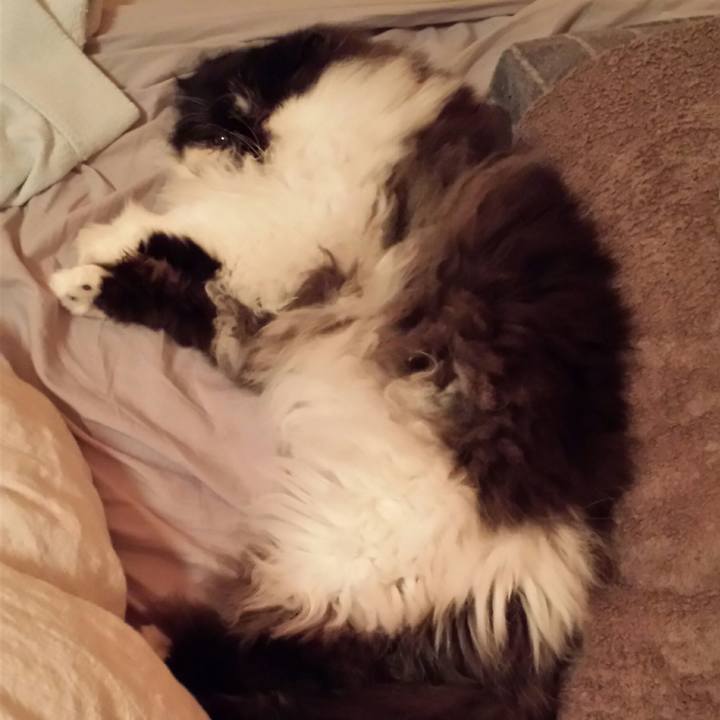 C25ce4db b8c6 4562 a583 9dbd07e4ba3f