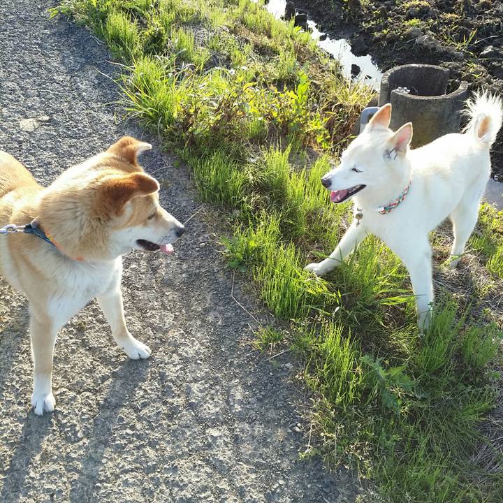 C25cf2ab 9ec8 4c82 90b9 0e653948e518