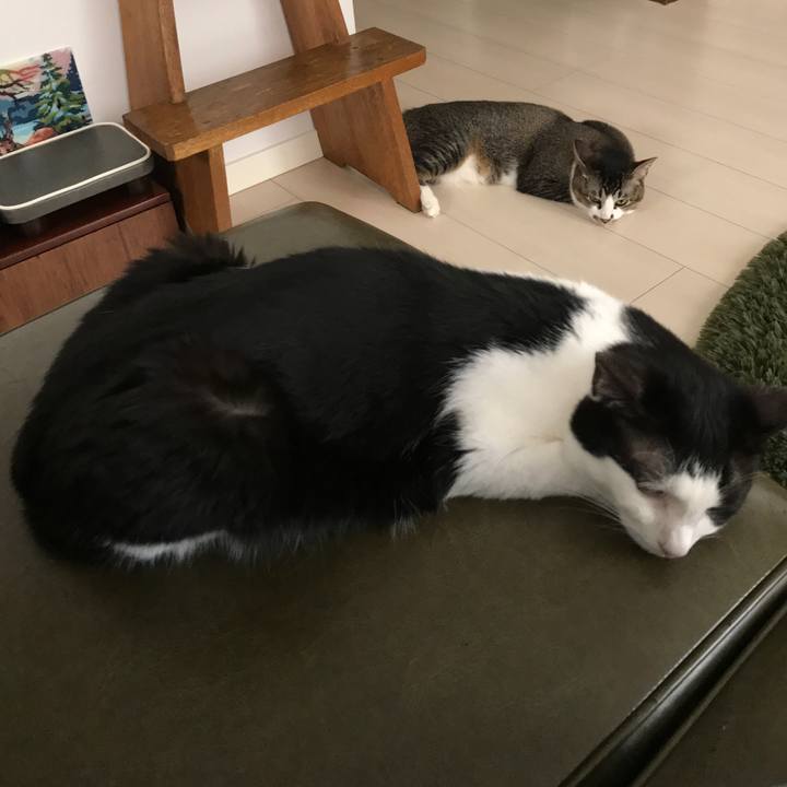 C25cf89e e776 45a8 9862 aa5ef0352d47