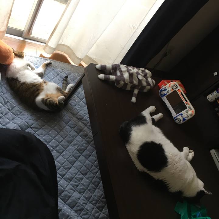 C25d53b1 5c21 40f8 8d25 95d3cb4b7745