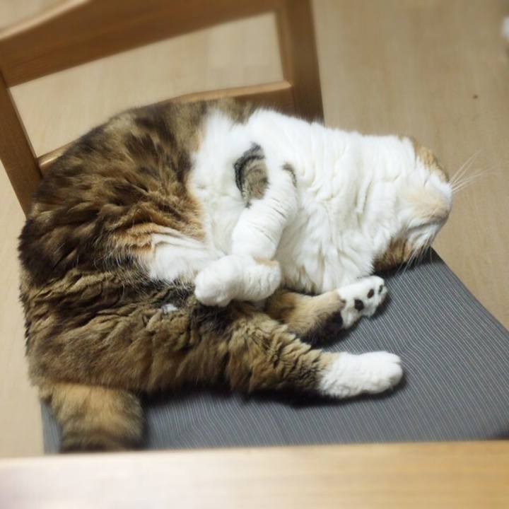 C25d6a84 c86d 4f71 874d 33d32d4c5262