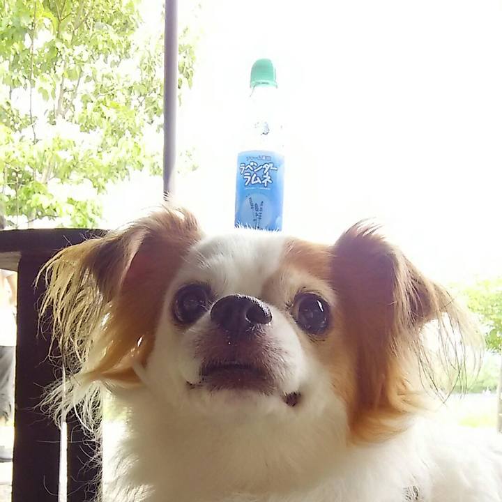 C25e5a33 4d67 4b67 b97a 1d9ef64e5345